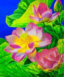 Water Lily Paint by numbers