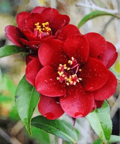 aesthetic-red-camellia-paint-by-numbers