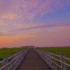 Marsh Boardwalk Paint by numbers