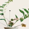 cool-japanese-ikebana-paint-by-numbers