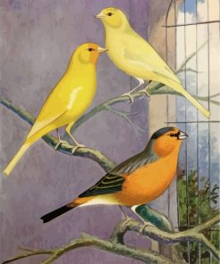 domestic-canary-paint-by-numbers