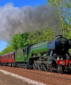 Flying Scotsman paint by numbers