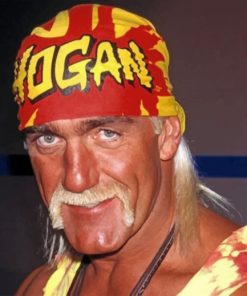 hulk-hogan-paint-by-numbers