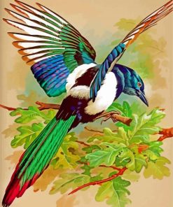 Magpie Bird Paint by numbers