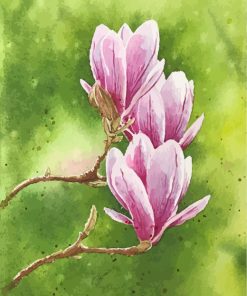 pink-magnolias-paint-by-numbers