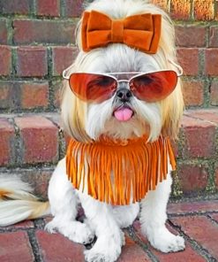 stylish-shih-tzu-paint-by-number