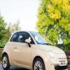 Beige Fiat 500 Car Paint By Number