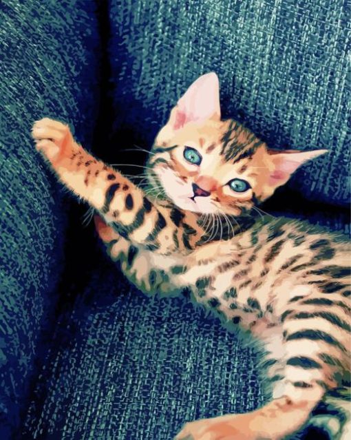 Bengal Kitten Paint By Number