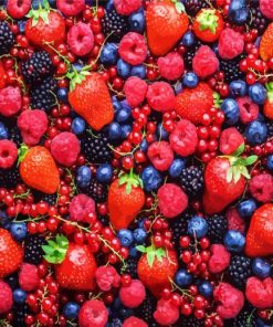 Berry Fruits Paint By Number