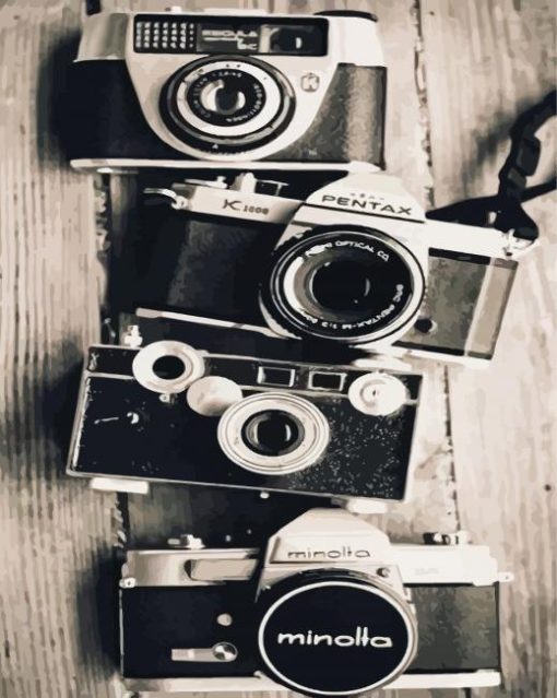 Black And White Cameras Paint By Number