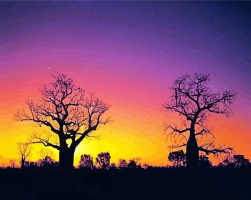 Boab Tree Silhouette Paint By Number