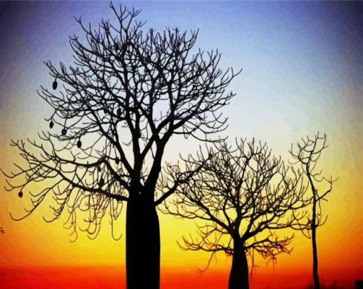 Boab Trees At Sunset Paint By Number