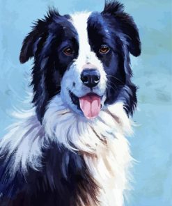 Border Collie Dogs Paint By Number