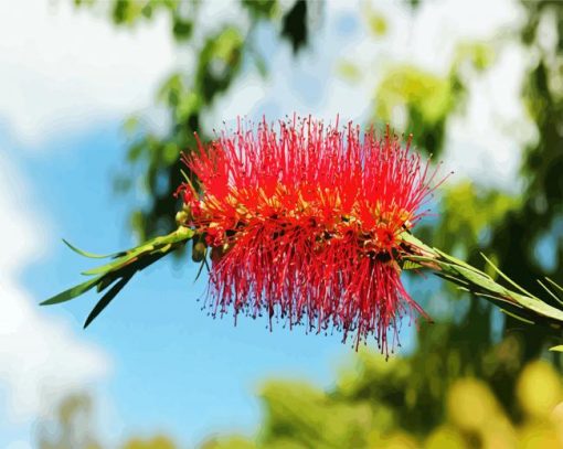 Bottlebrush In A Branch Paint By Number