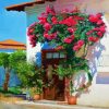 Bougainvillea House Paint By Number