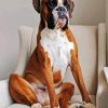 Boxer Dog Paint By Number