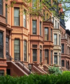 Brownstone Buildings Paint by Number