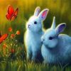 Bunnies And Butterflies Paint By Number