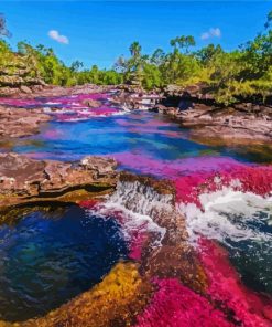 Cano Cristales Colombia paint by number