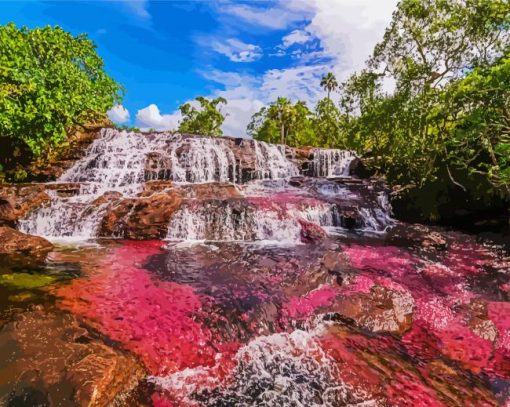 Cano Cristales Colombia paint by number