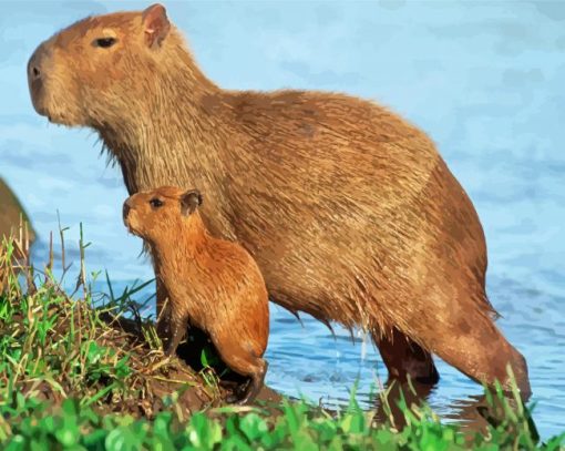 Capybara Rodent Paint By Number