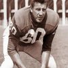 Chuck Bednarik Paint By Number