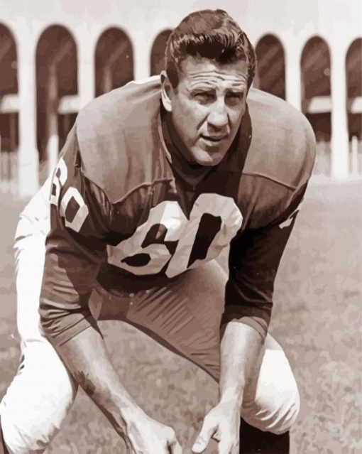 Chuck Bednarik Paint By Number