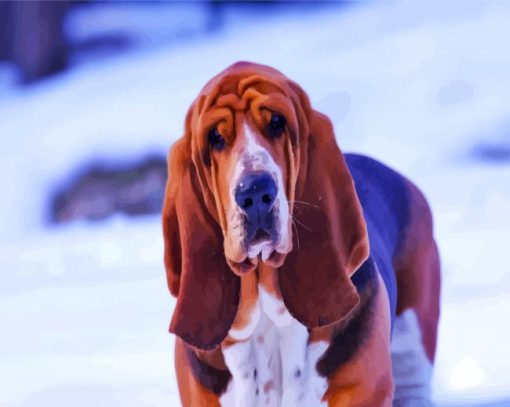 Cute Bloodhound In Snow paint by number