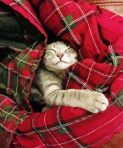 Cute Cat Sleeping In Blanket paint by number