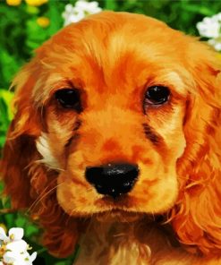 English Cocker Spaniel Dog paint by number