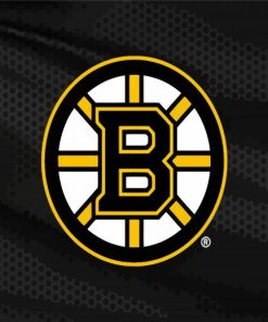 Ice Hockey Bruins Logo Paint by Number