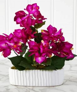 Pink Bougainvillea Paint By Numbers