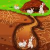 Rabbits In Burrow Paint By Number