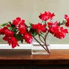 Red Bougainvillea Paint By Number