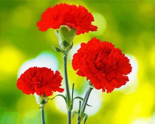 Red Carnation Flowers Paint By Number