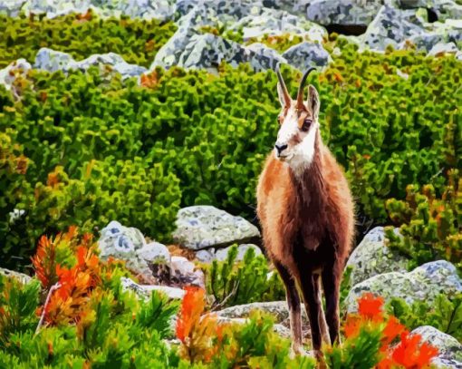 Tatra Chamois paint by number