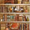 Tidy Vintage Bookcase Paint By Number