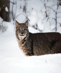 Wild Bobcat In Snow Paint By Number