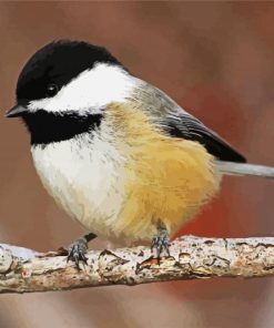 Aesthetic Chickadee paint by number