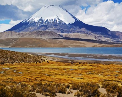 Aesthetic Lauca National Park paint by number