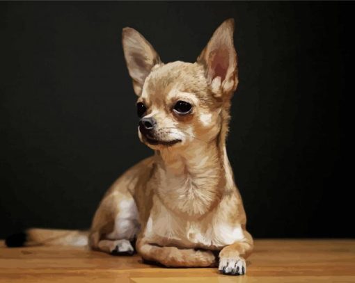 Aesthetic Chihuahua Dog paint by number