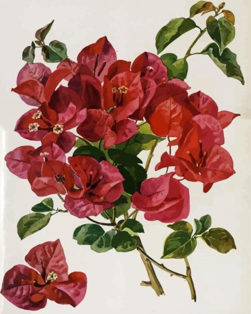 Botanical Flowers Art Paint By Number