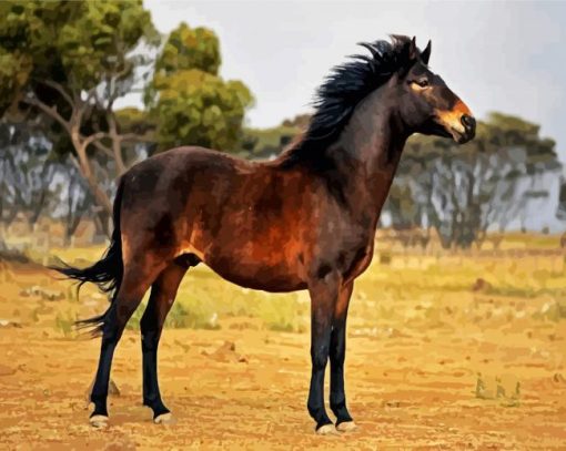 Brown Brumby Paint By Number