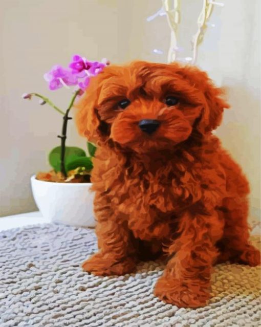 Brown Cavoodle paint by number