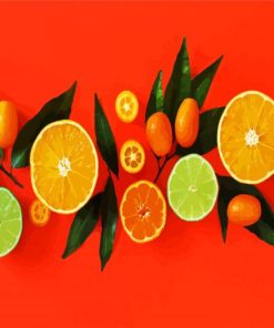 Citrus Fruits paint by number