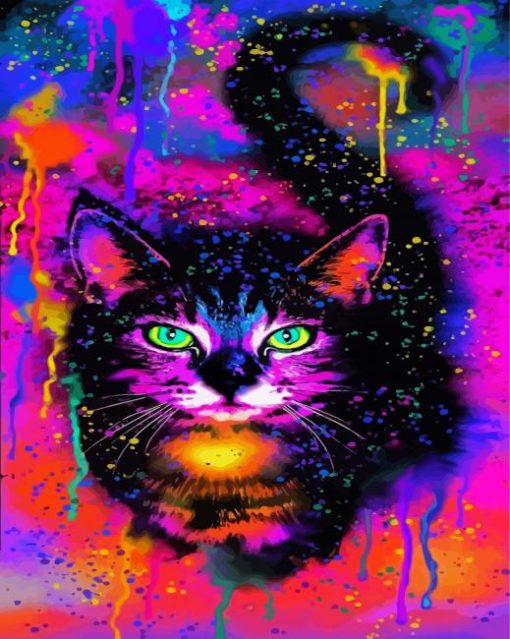 Colorful Cat paint by number