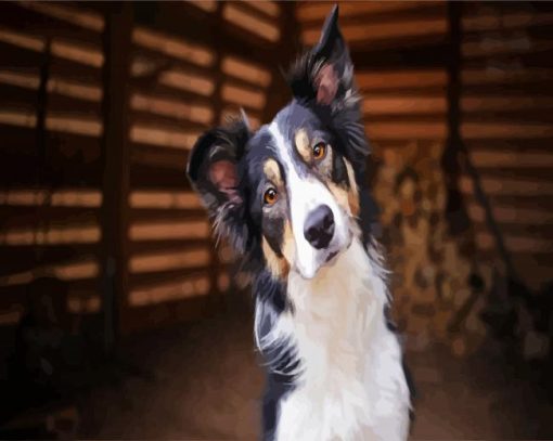 Cute Collie Puppy paint by number