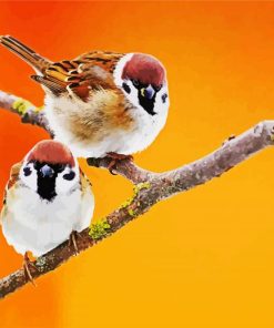 Cute Sparrows Paint By Numbe