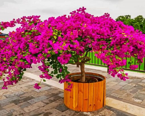 Purple Bougainvillea paint by number