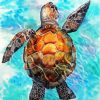 Sea Turtle paint by number